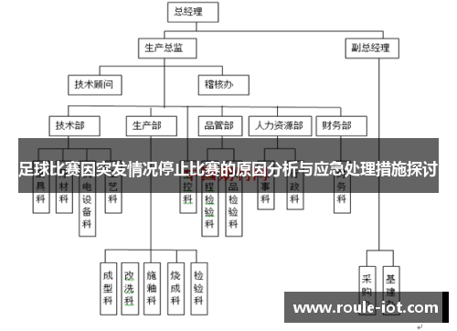 足球比赛因突发情况停止比赛的原因分析与应急处理措施探讨